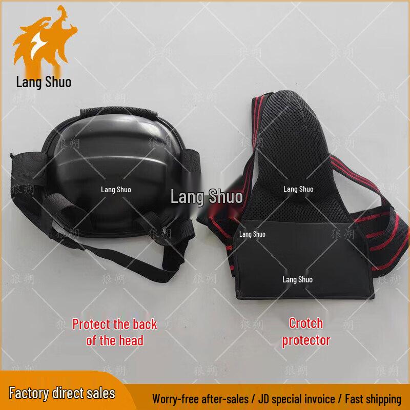 Combat Sports Head and Groin Protector Set