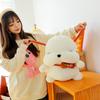 Cute, Slapping and Apologetic Dog Doll, Talking Dog Doll To Coax Wife and Girlfriend, Birthday Gift Rag Doll