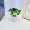 Simulation Leaves 8 Epipremnum Aureum Potted Artificial Plant Ornament Decor