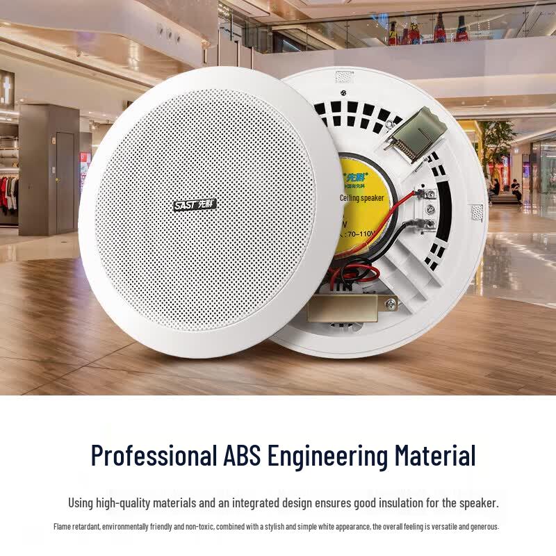 SAST X6 Ceiling Speaker System with Amplifier (CN version)