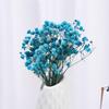 Decor Natural Material Photo Props Real Flower Mini Babysbreath Natural Dried Bouquets Plant Stems