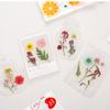 Transparent Preserved Flower Bookmark Set DIY Pressed Flower Bookmark Craft Kit with Clear Jar Stickers Handmade Bookmarks