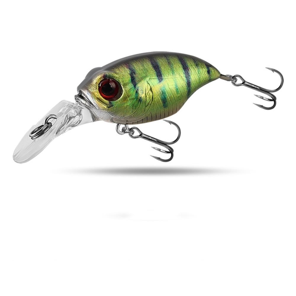 Professional Plastic Fishing Lure 5 Colors 3D Printed Floating Minnow Baits 5.8cm 6g Artificial Lures Fishing