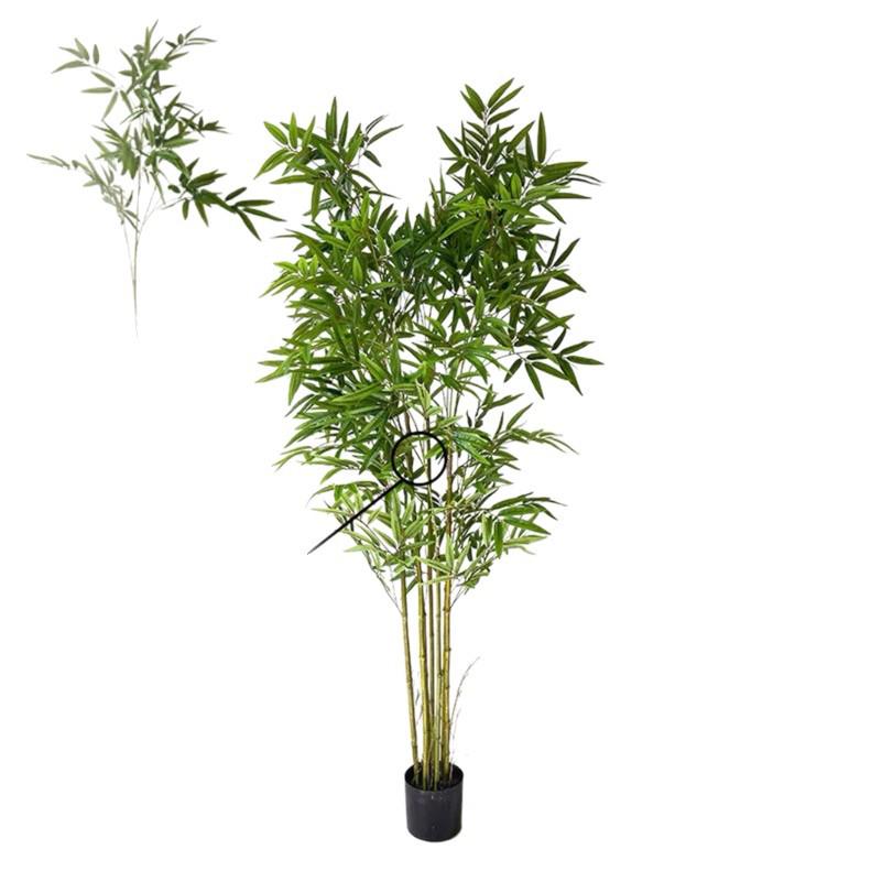 Zen Bamboo Bonsai Decor: Green Bamboo Plant for Home, Office, or Shop. Perfect for Living Room or Entryway.