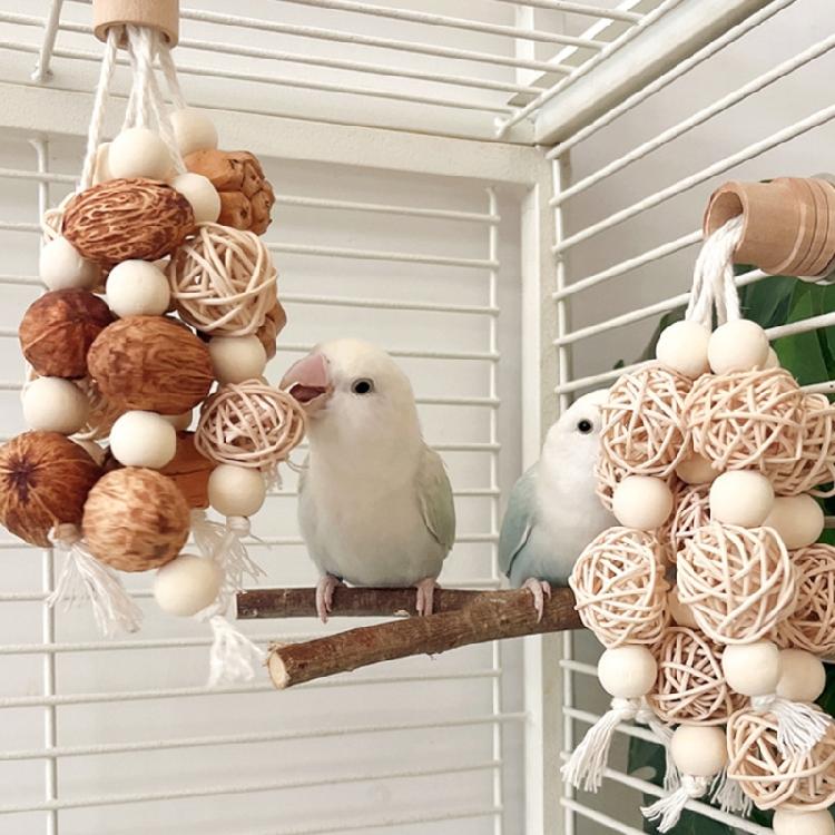 Hanging Chew Bird Toy for Cockatiels and Similar Pet Birds, Top Screw Mount for Indoor Cage Activity and Daily Play