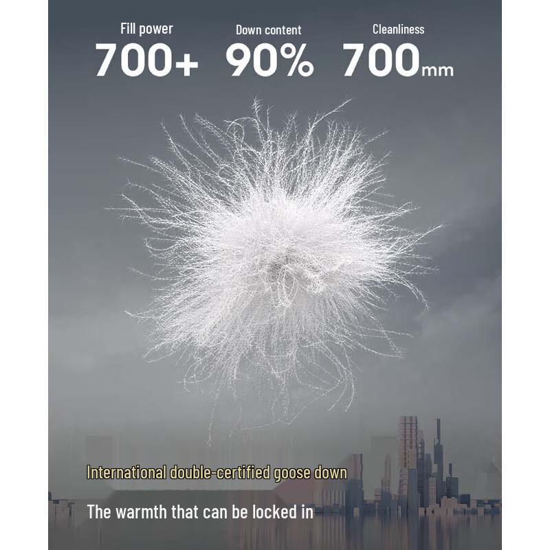 Bosideng B250134121 Stand Collar Commuter Down Jacket