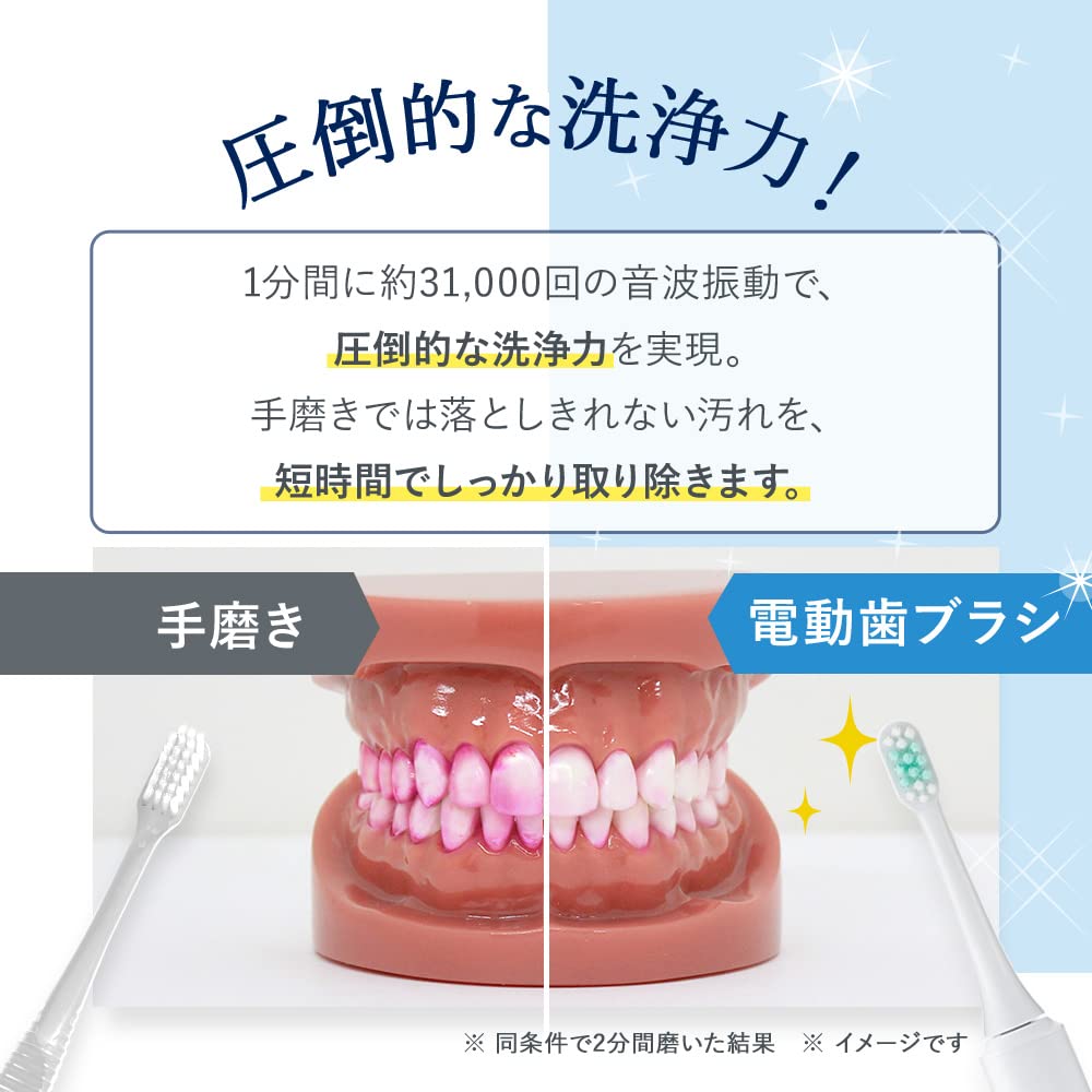 For fam Sonic Toothbrush Ohige-chan