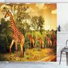 Funny Animal Shower Curtain Giraffe Jungle Safari Tropic African Wildlife Black And White Modern Designer Cool Bathroom Decor