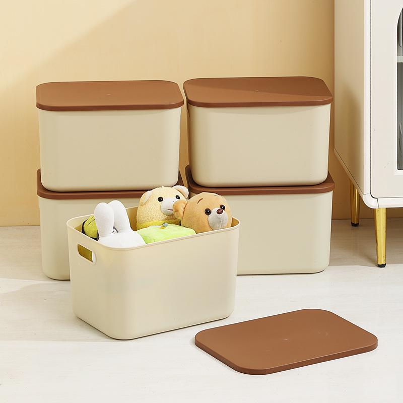 Plastic Desktop Organizer Box with Lid for Dorms and Kids' Toys