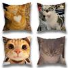Funny Cute Cat Pillow Case Pillow Case Living Room Sofa Cushion Cover Suitable For Home Bedroom Room Decoration