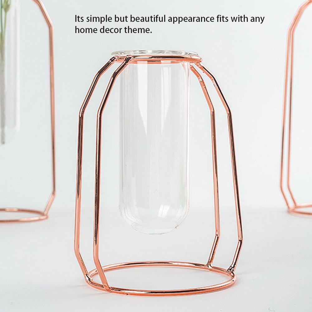Transparent Hydroponic Plant Vases Flower Pot Tabletop Home Decorations