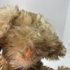 [USED] Teddy bear dog stuffed toy