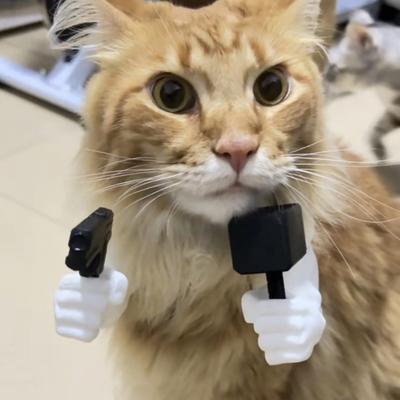 Evcil Hayvan Cosplayi için Kedi Kaslı Kol 3D Baskılı Kedi Boyun Kolu Komik Evcil Hayvan Aksesuarı Çekiç Tutarak Kaslı Kol Cadılar Bayramı Kostümü Doğum Günü Partisi Giydirme