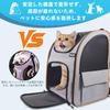 Honeypet Pet Carrier Backpack (Ventilated Mesh / Foldable / 8 Kg Capacity / Gray)