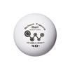 [The] World Connect Table Tennis Balls TWC School Training Balls 40+ 100 Balls DV010 White