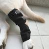 Yousheng 1Pc Shakeproof Pets Leg Wrap Provide Support Neoprene Fabric Flexible Multifunctional Dog Joint Wrap for Home