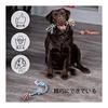 Set of 5 Dog Rope Toys Dog Toys Dog Toys Chew Toys for Pets Cotton Stress Relief Strong Durable Clean Teeth Brushing Suitable for Small/Medium Dogs