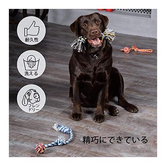 Set of 5 Dog Rope Toys Dog Toys Dog Toys Chew Toys for Pets Cotton Stress Relief Strong Durable Clean Teeth Brushing Suitable for Small/Medium Dogs