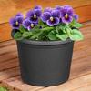 Garden Pot Outdoor Plastic Round Pot Black 23x16.5 cm