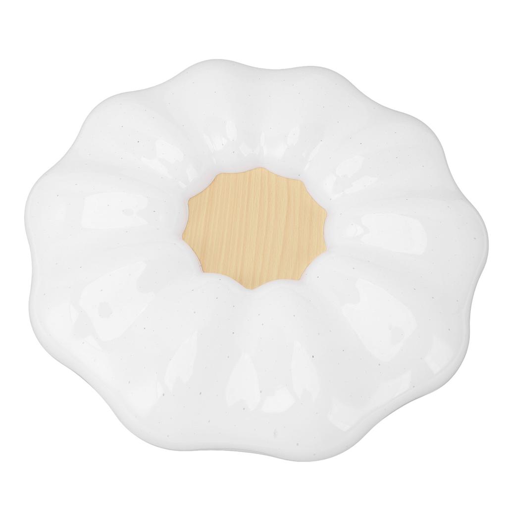 Flush Mount Ceiling Light Modern Ceiling Lamp 3 Color Temperature Dimmable Remote Control for
