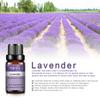 PHATOIL 6Pcs Pure Plant Extract Essential Oil Rose Lavender Vanilla Fragrance Oil for Diffuser Air Purifier Healthy Calming Women's Day Gift