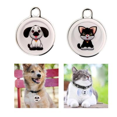 Köpek – Köpek Tasmaları ve Tasma Kayışları