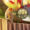 Temu Outdoor Squirrel-Proof Metal Bird Feeder with Gift Box