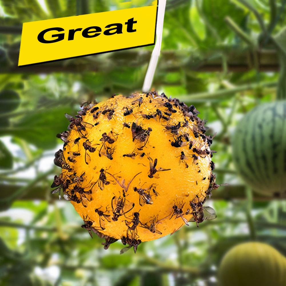 10PCS Fly Ball Traps 8cm Insects Fly Swatter Fruit Flies Trap Reusable Hanging Trap Ball Pest Repeller Killer Garden Supplies
