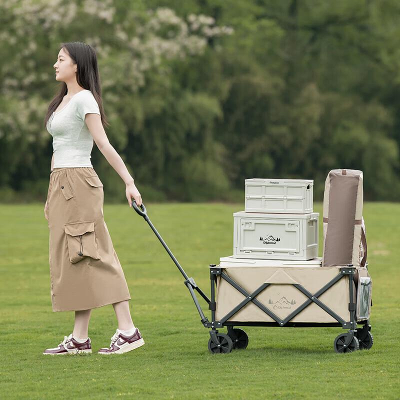 

Diplomat Outdoor Folding Camping Cart