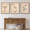 Nostalgic and Retro Bird Skeleton Painting Abstract Art Canvas Painting Contemporary Picture Prints and Poster Home Wall Decor
