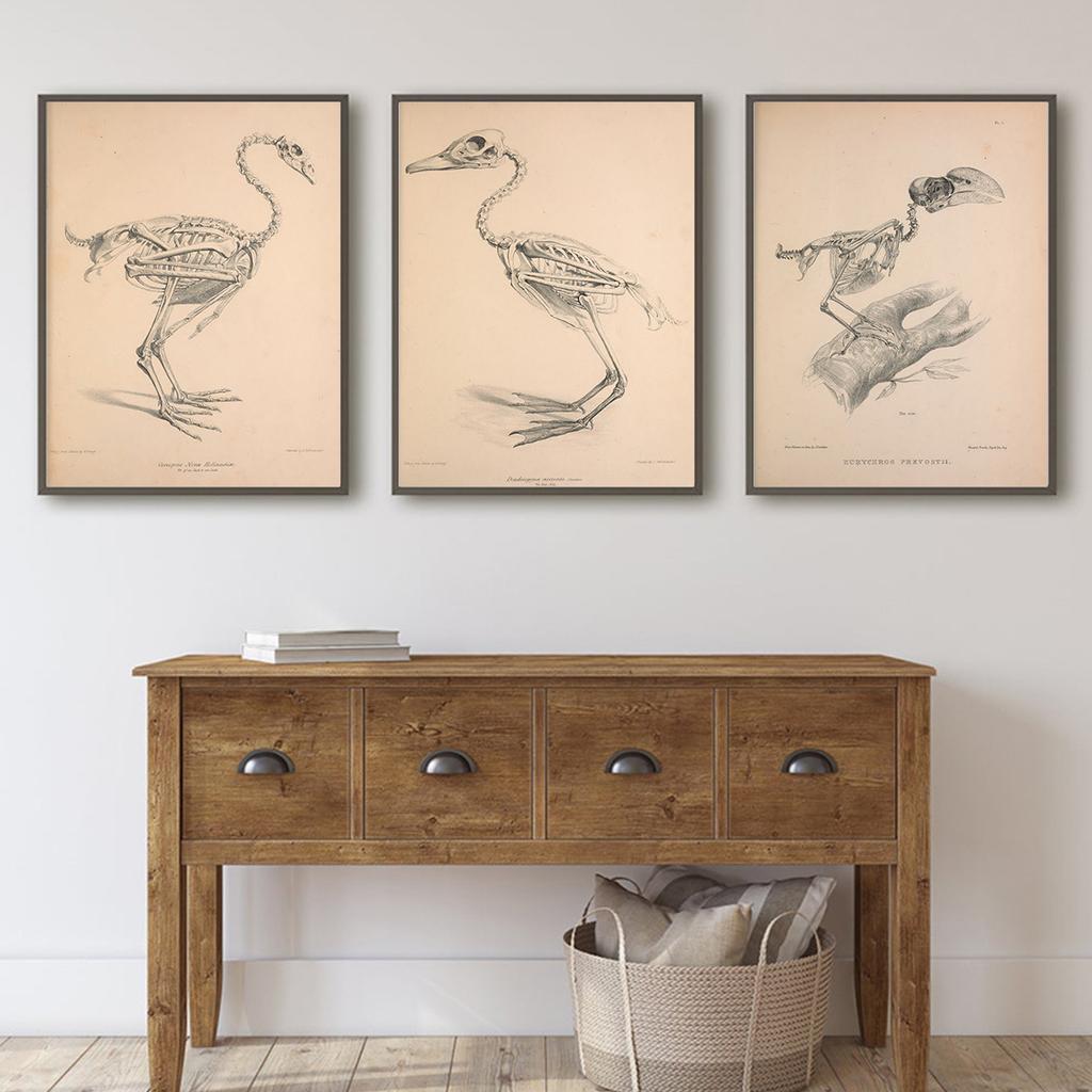 Nostalgic and Retro Bird Skeleton Painting Abstract Art Canvas Painting Contemporary Picture Prints and Poster Home Wall Decor