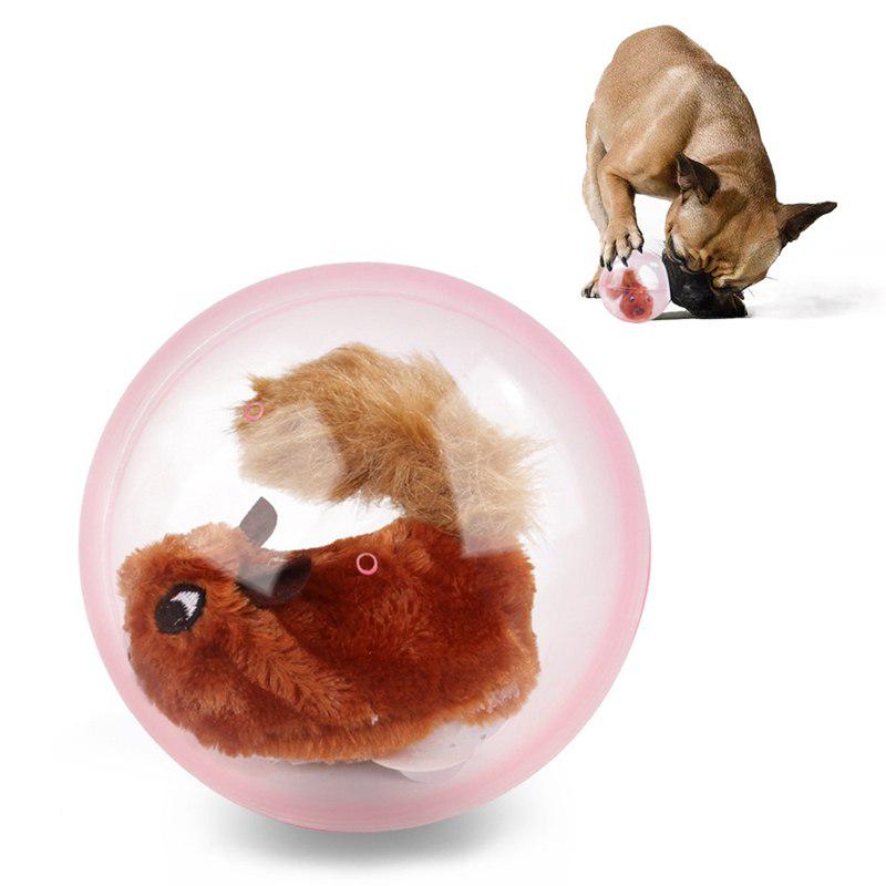 squirrel ball toy