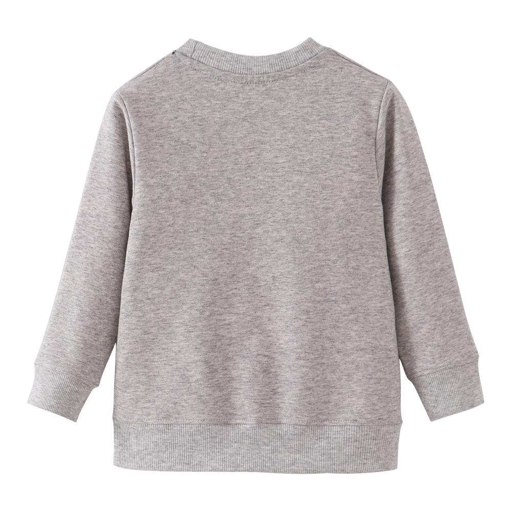 European Style Kids' Cotton Long-Sleeve Hoodie for Autumn and Winter