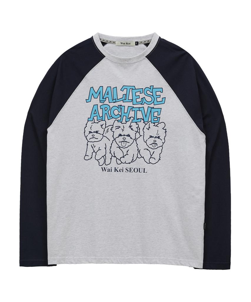 WAIKEI Maltese Archive Line Graphic Raglan Long Sleeve T-Shirt Melange White