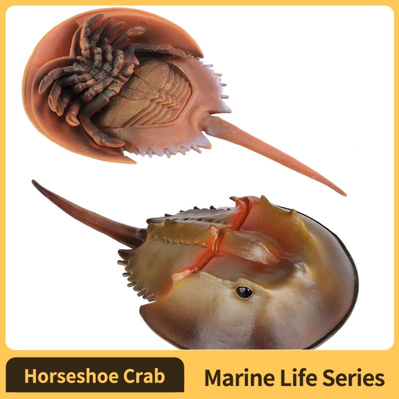 Discover Intime Boys Sea Animals Horseshoe Crab Figurine - Plastic Model Anime Figures - Enjoyable Instructive Enjoy Toy Designed For Girls And Children Ages 3