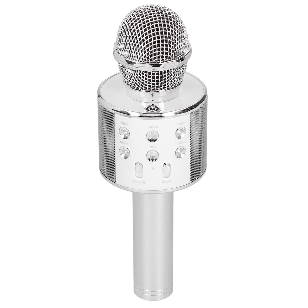 Wireless Microphone Bluetooth Recording Handheld Portable for Party Wedding Meeting