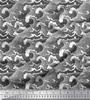 Soimoi Japan Crepe Satin Fabric Waves Shirting Decor Fabric Printed Metre 42 Inch