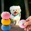 Cães – Brinquedos para cães