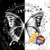 Tapestry Butterfly Moon Phases Tablecloth for Bedroom Decorative Background Cloth Picnic Blanket Tarot Tablecloth Home
