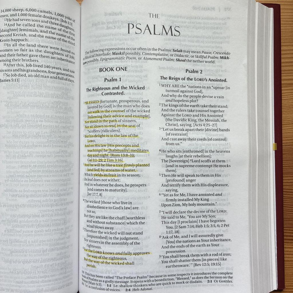 [USED] AMPLIFIED HOLY BIBLE