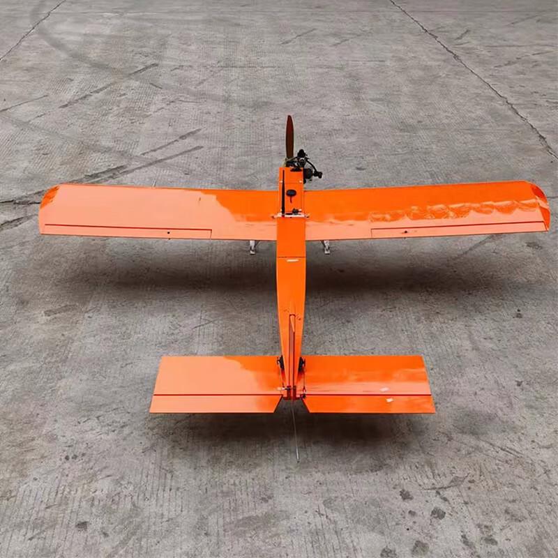 Short-tailed Dolphin I Programmable RC Trainer