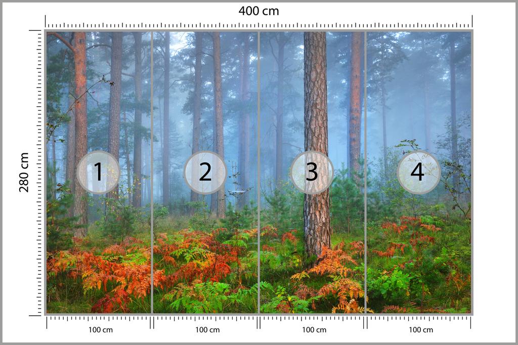 Fototapeta Les v mlze, netkaná, 400x280