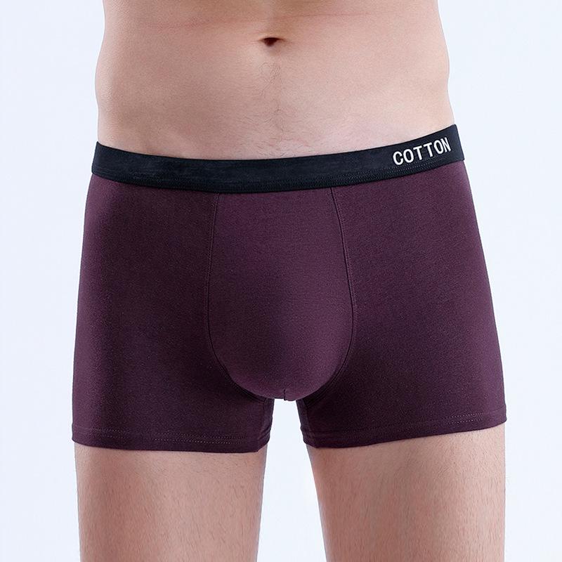 Men's 3D Printed Mid-Waist Cotton Boxer Briefs with U-Convex Design