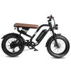 MAXTURN MX10 Elektrisches Mountainbike mit 48V 13,5Ah Akku, Shimano 7-Gang