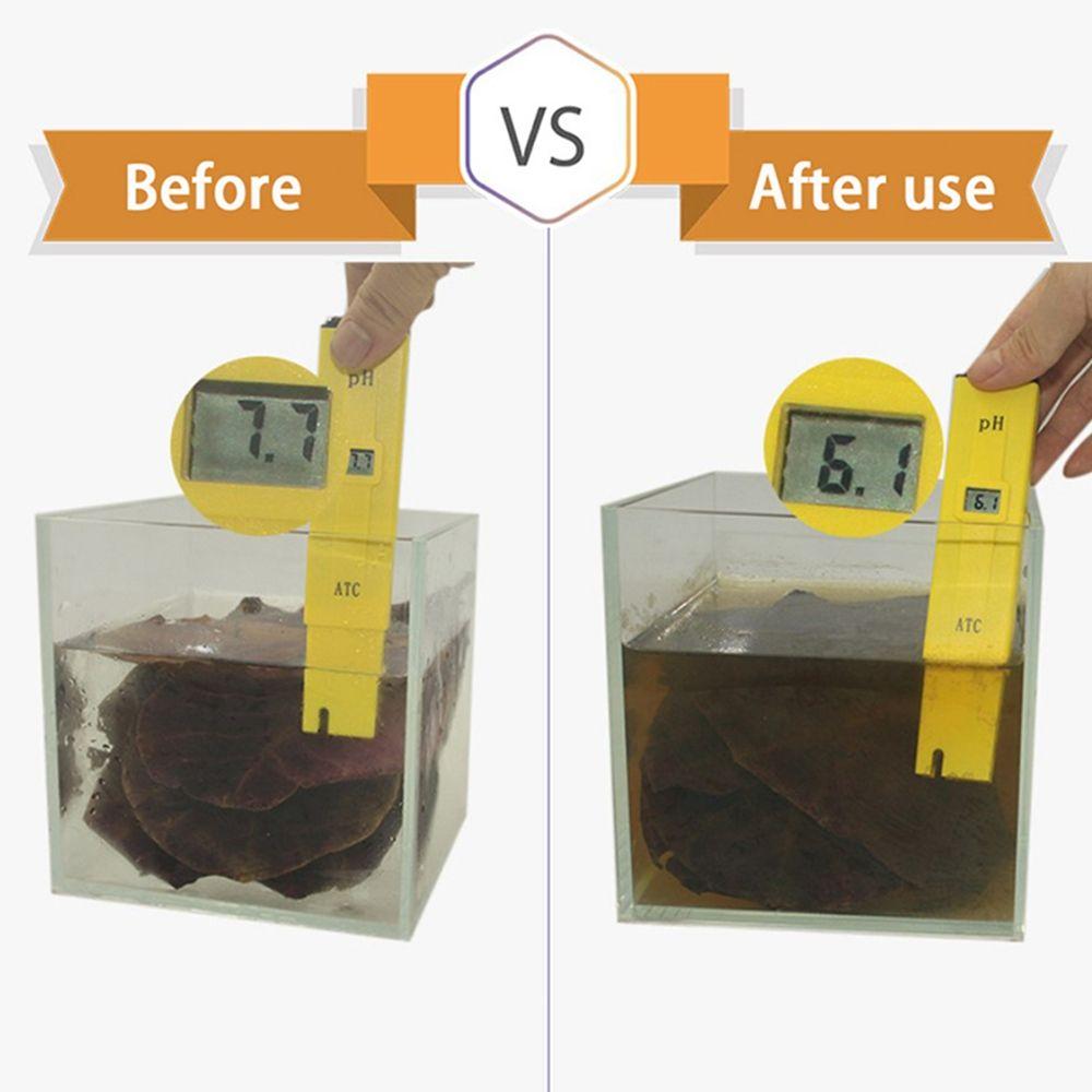Fish Cleaning Acid Effect Fish Treatment Terminalia Leaves Aquarium Tank Decor Terminalia Leaves