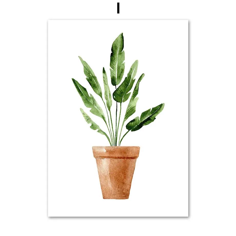 Cactus Tigre Pilan Monstera Piante Verdi Arte Murale Poster Nordici Pittura su Tela E Stampe Immagini da Parete Per Arredamento Soggiorno