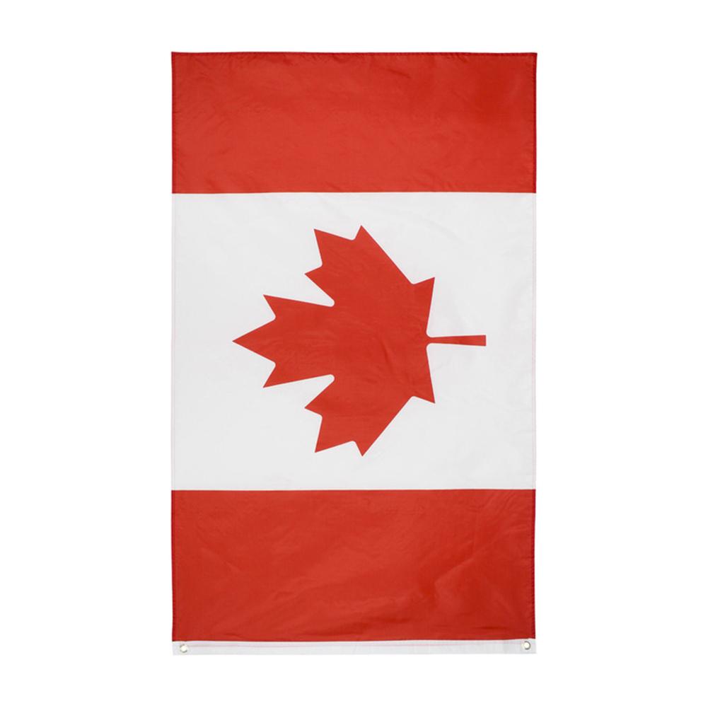 12Pcs Canada Hand Waving Flag Canadian Small National Flags Pole Banners NEW 12Pcs Canada Hand Waving Flag Canadian Small National Flags Pole Banners NEW