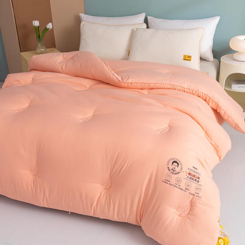 

LISM All-Season Duo Quilt