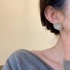 Silver Needle Irregular Resin Stud Earrings Korean Version of Simple Personality Earrings Fashion Simple Temperament Earrings Design Sense Niche
