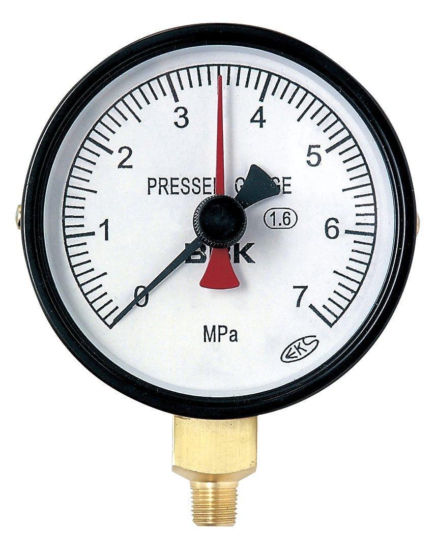 

BBK AT10070 Pressure Gauge (1/8NPT)